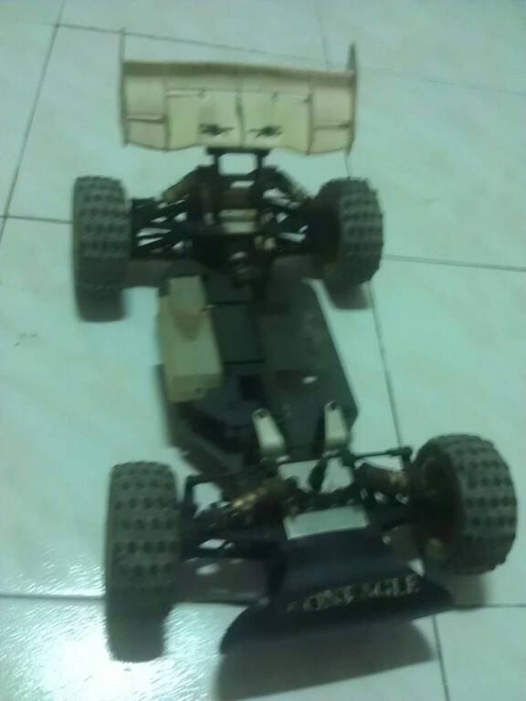 29431.jpg
