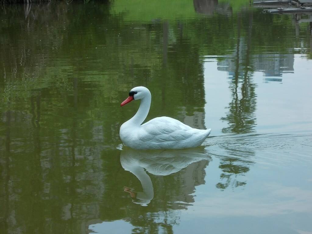 照片 471.JPG