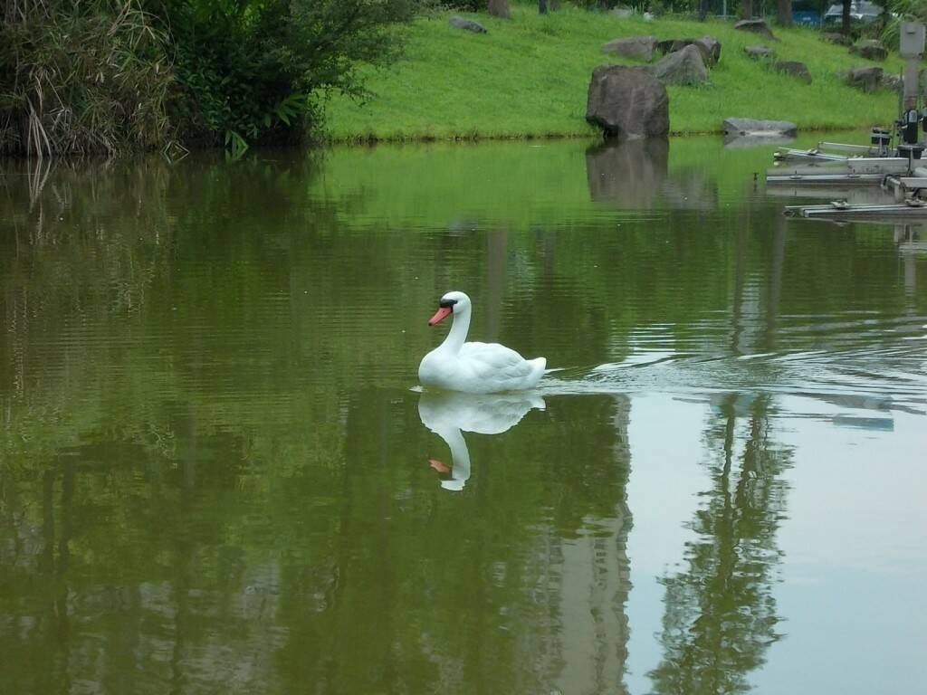 照片 447.JPG
