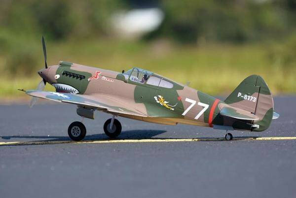 FMS_P-40_980mm_Warhawk_03.jpg