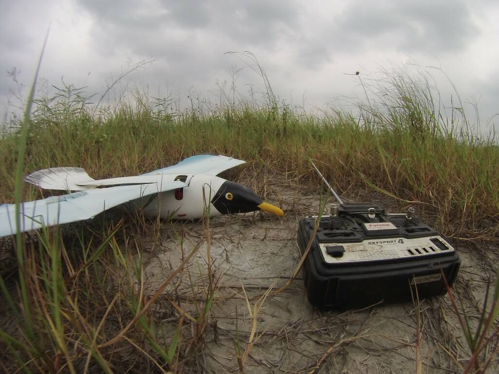 GOPR1512.JPG