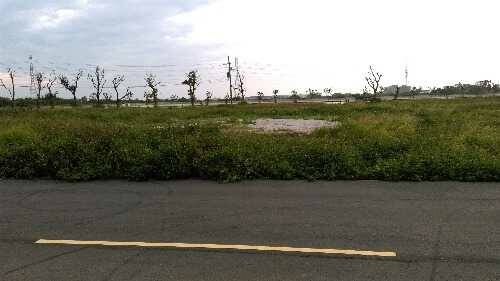 IMAG0474.jpg