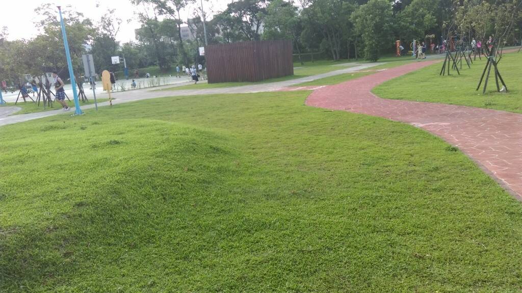IMAG0479.jpg