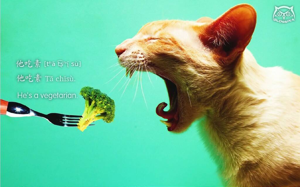 009