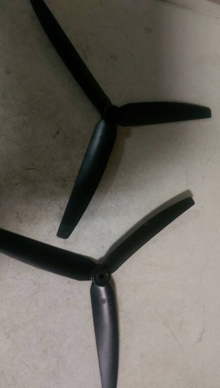 IMAG0272.jpg