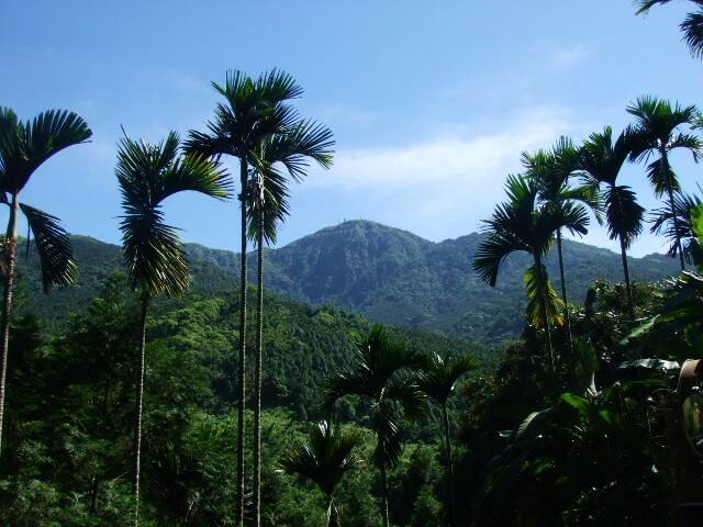 集集大山分享照 008.jpg