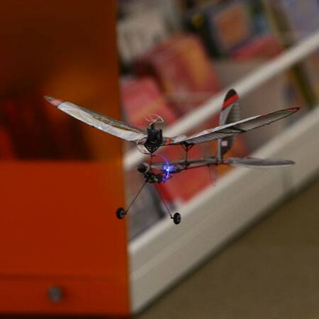 EFLU6680_a3.jpg