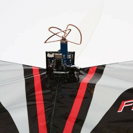 EFLU6680_a9.jpg
