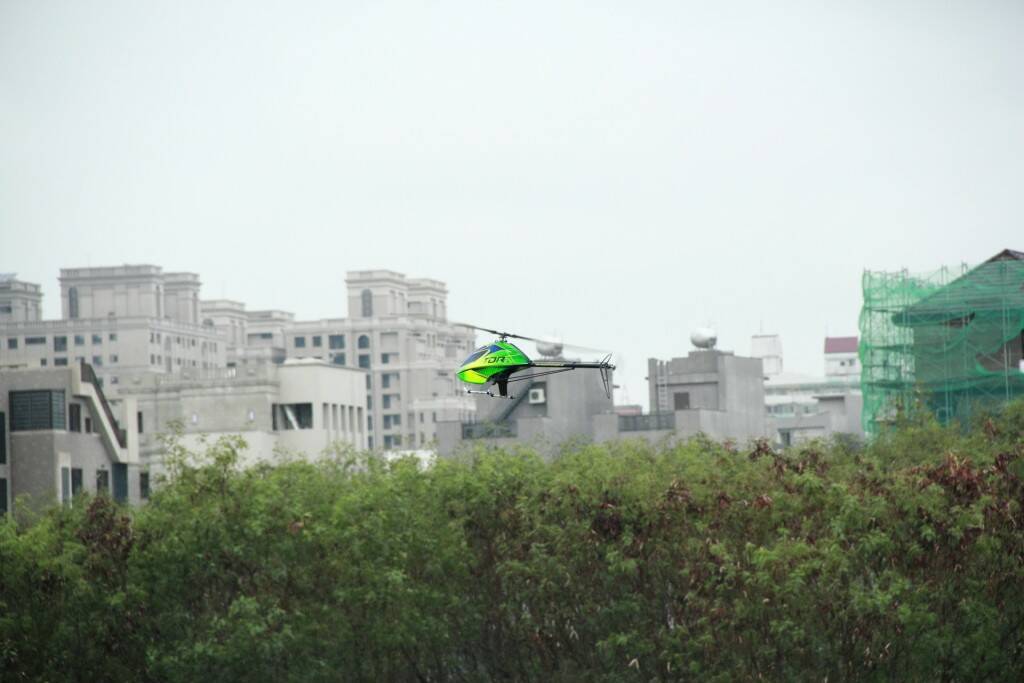 IMG_7995.JPG