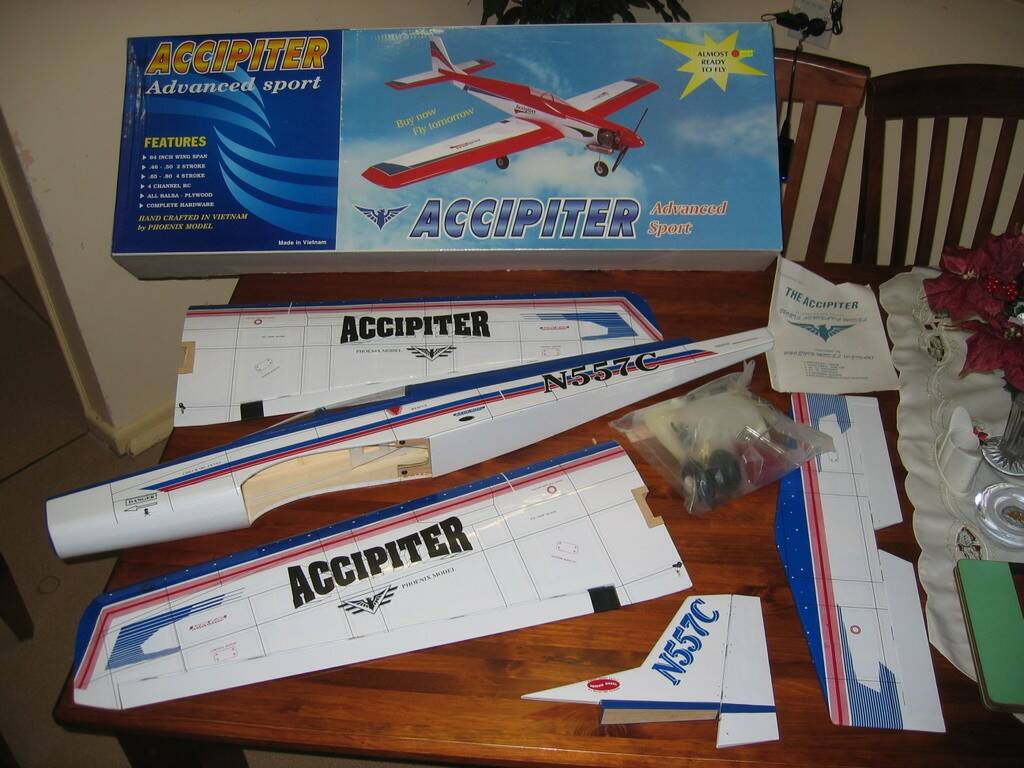 Accipiter-1.jpeg