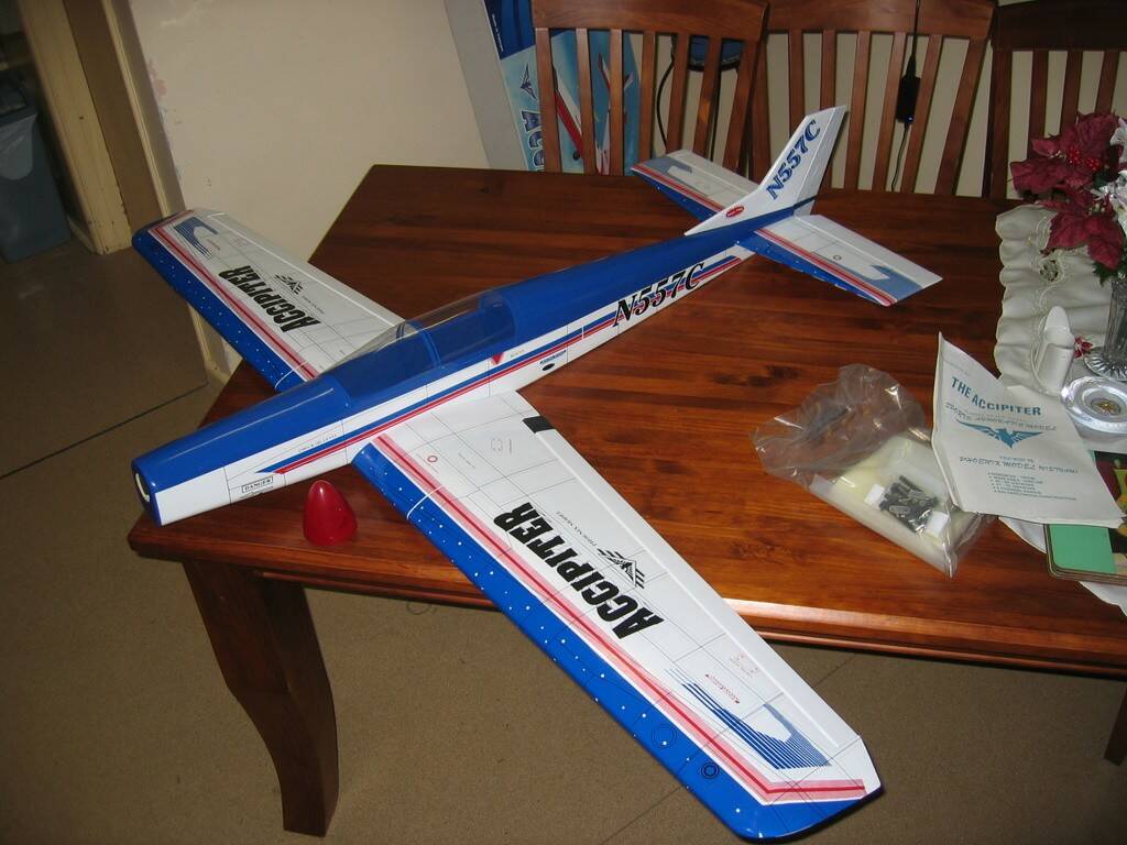 Accipiter-2.jpeg