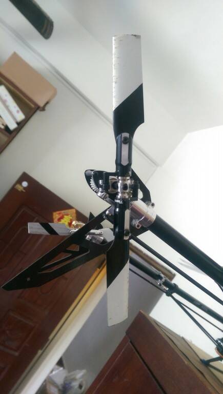 IMAG0456.jpg