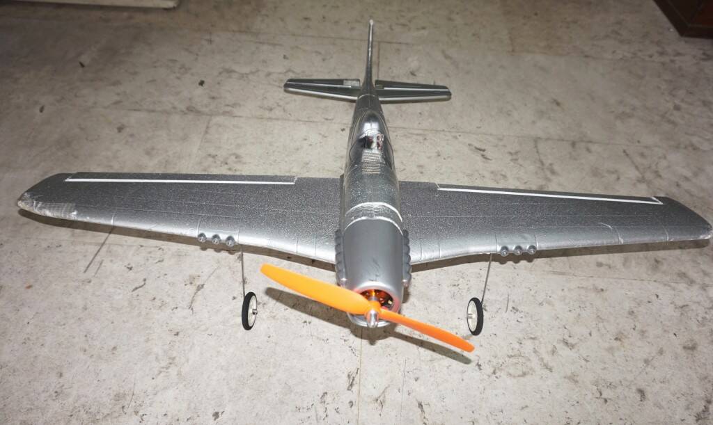 p9515.JPG