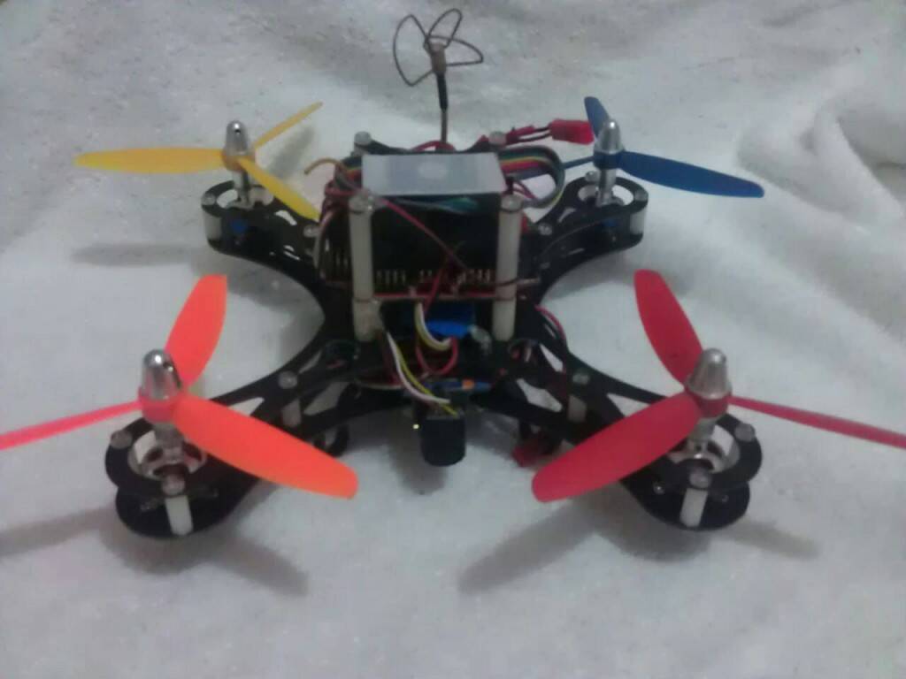 45031.jpg