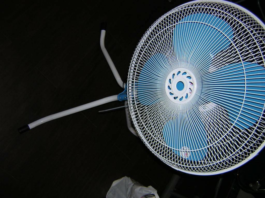 DSCN5278.JPG