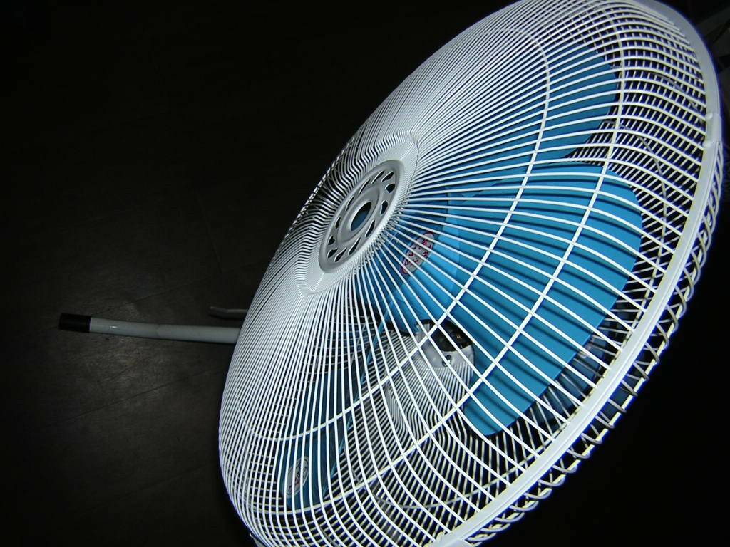 DSCN5277.JPG