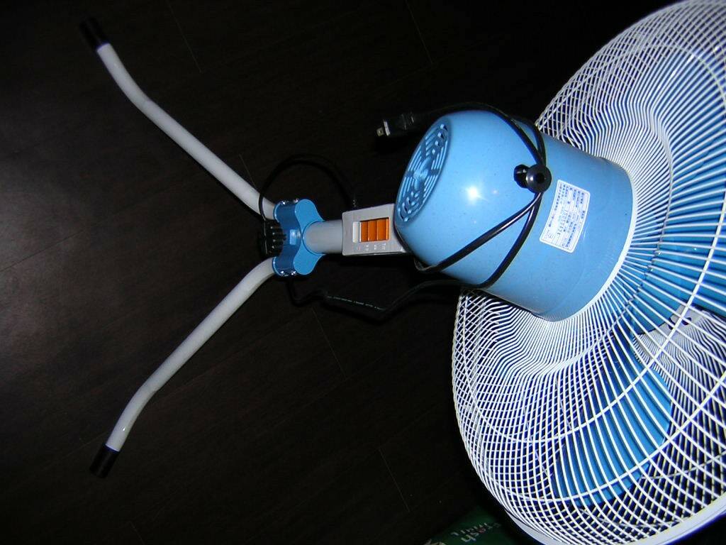 DSCN5275.JPG