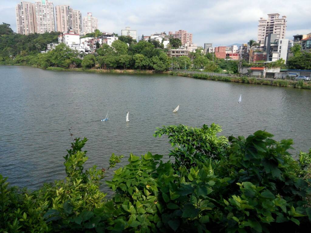 IMG_20150920_150034.jpg