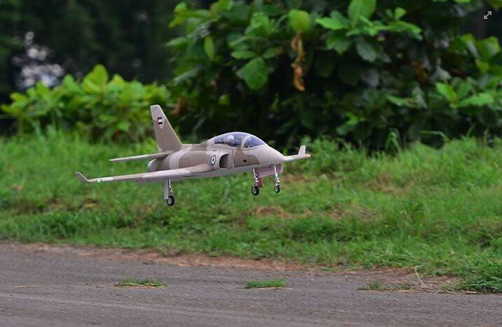 viper-89.jpg