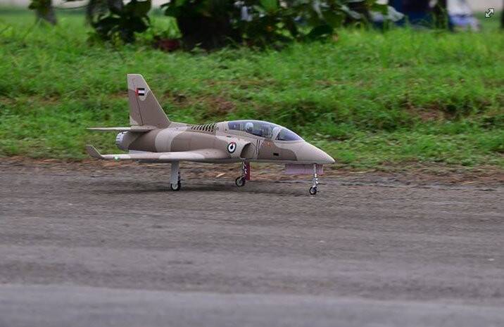 viper-92.jpg