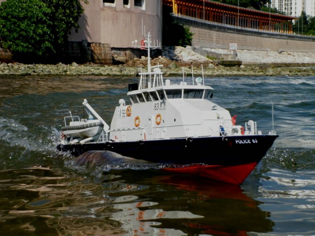 P1000847s.JPG