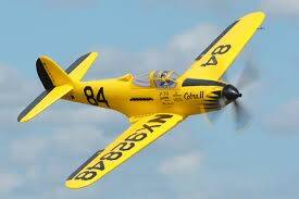 FMS P-393.jpg