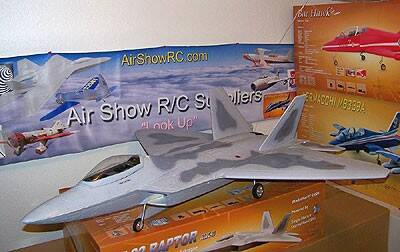 F-22 FlyFly 90mm 03.jpg