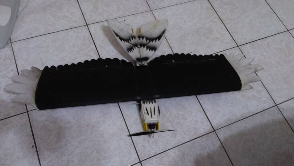 IMAG0950.jpg