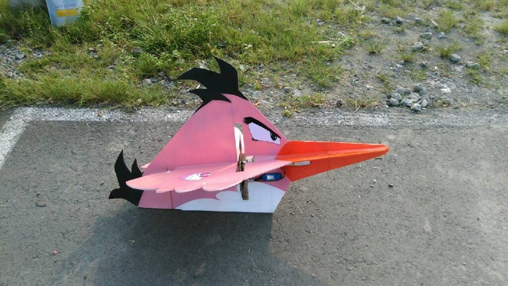 方哥客製指定塗裝衝刺母鳥版_5755.jpg