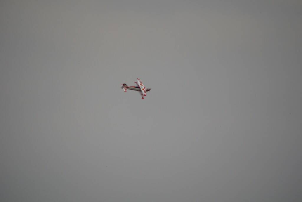 DSC08478.JPG