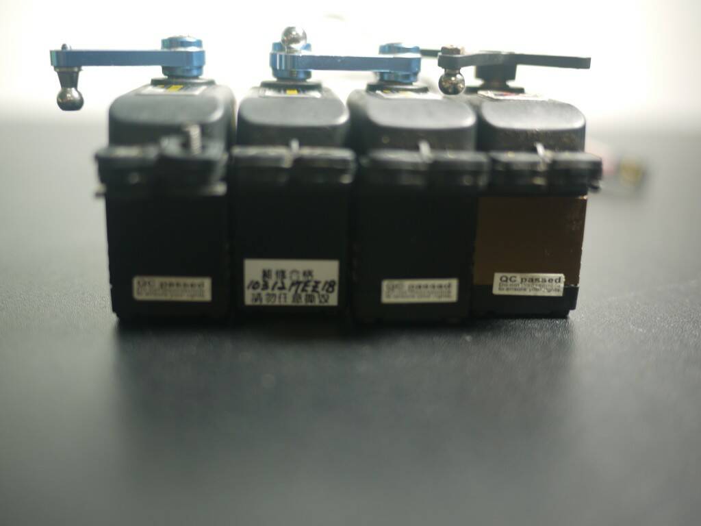 P1380069.JPG
