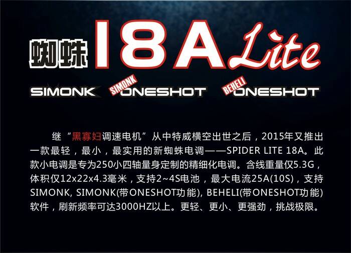 ZTW Spider 18A Lite AD 2.JPG