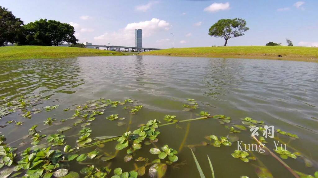 2015-11-28 幸福水漾公園 彩虹花海 超有幸福感的夢幻景點－公羽[12-03-03].JPG.jpg