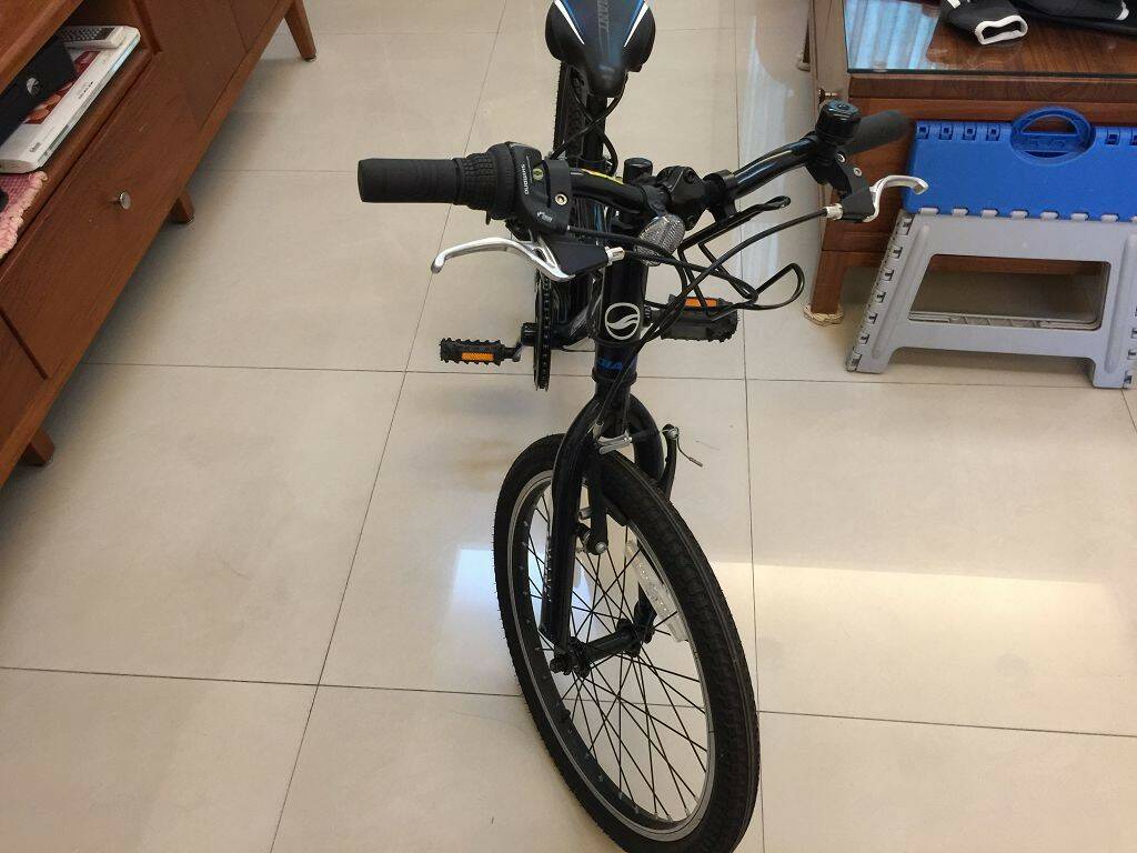 檔案_008 (1).jpeg