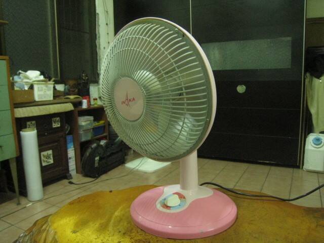 010.JPG