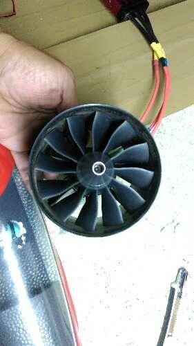 IMAG0689.jpg