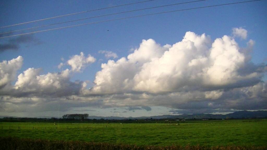 PIC_0993.JPG