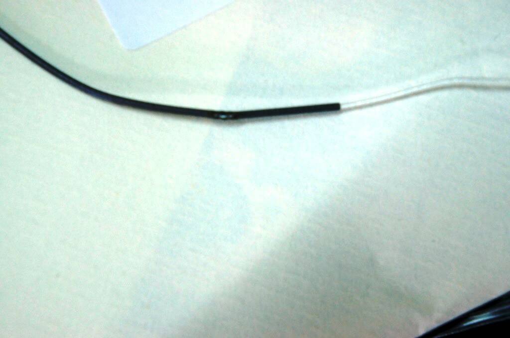 DSC01977.JPG