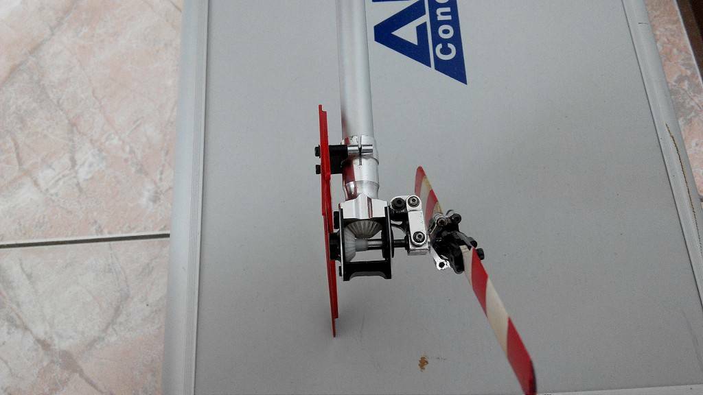 IMG_20160312_115029-1024.jpg