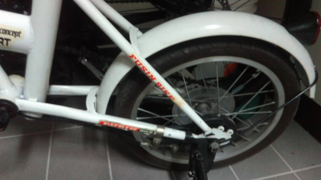 IMAG6390.jpg