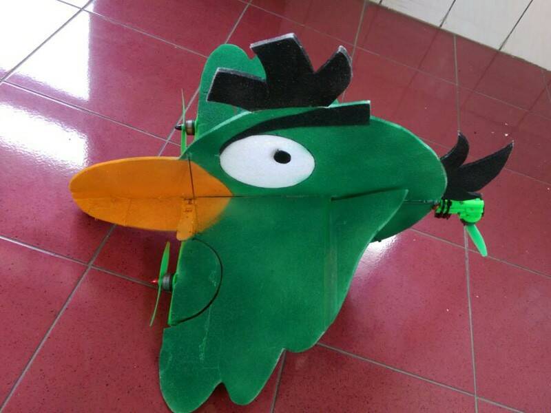 RBird-2.jpg