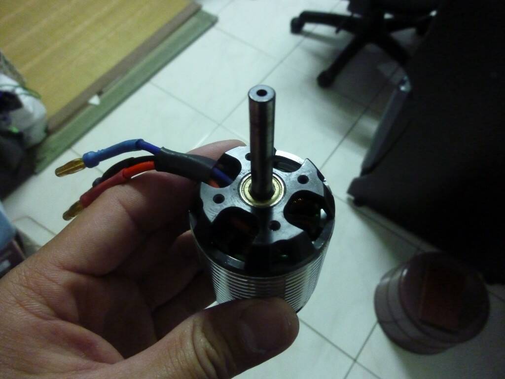 P1050420.JPG
