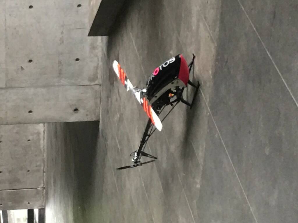 image.jpeg