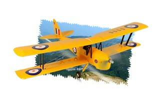 PicturePH035---Tiger-Moth-40-1-sma.jpg