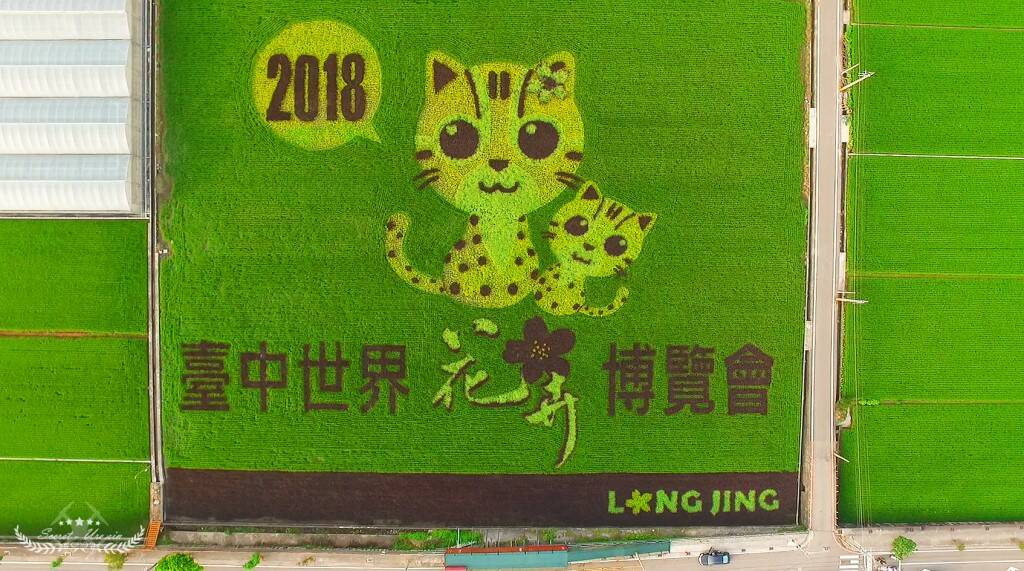 台中龍井.jpg