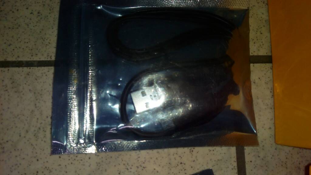IMAG0569.jpg