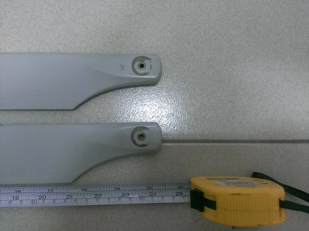 IMAG5541.jpg