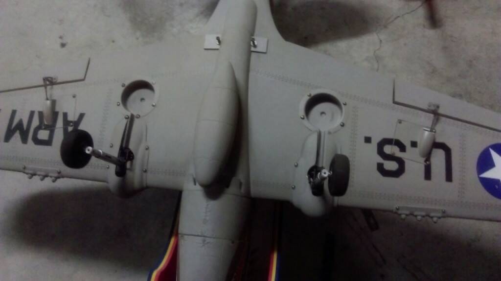 IMAG0333.jpg