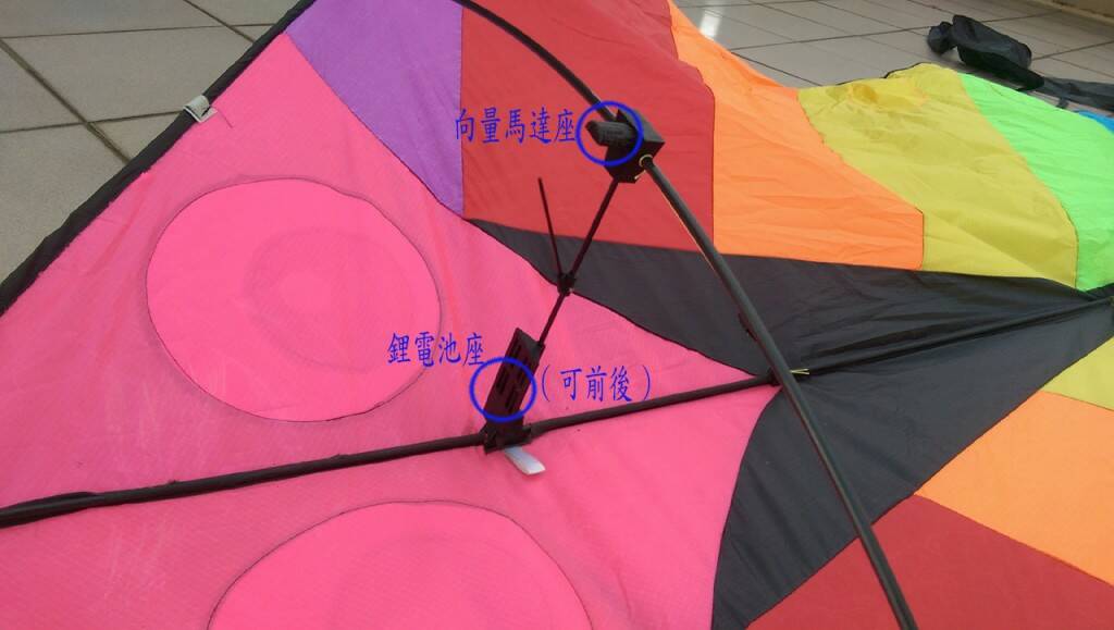 11-長尾大花斑2.jpg