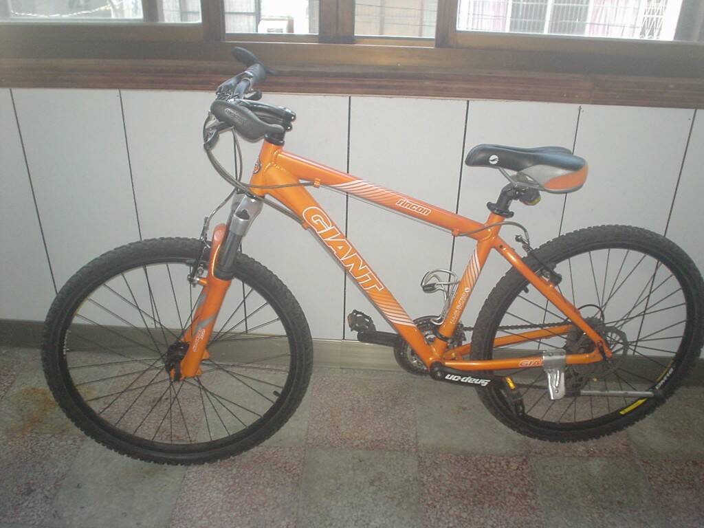 腳踏車 001.JPG